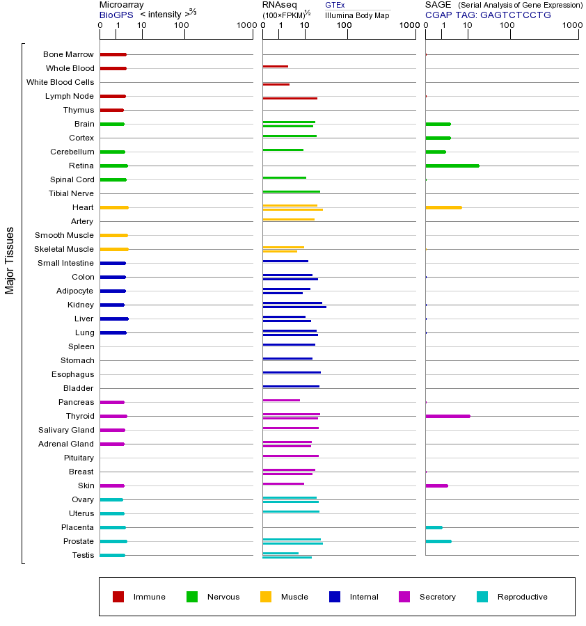 Gene expression across tissues