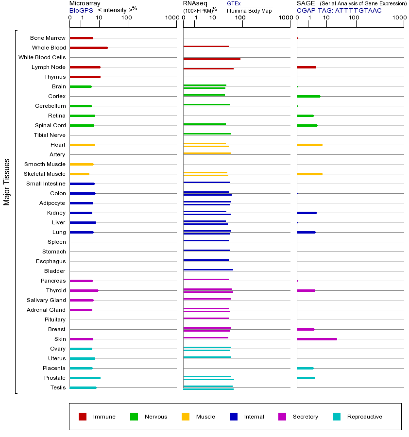 Gene expression across tissues