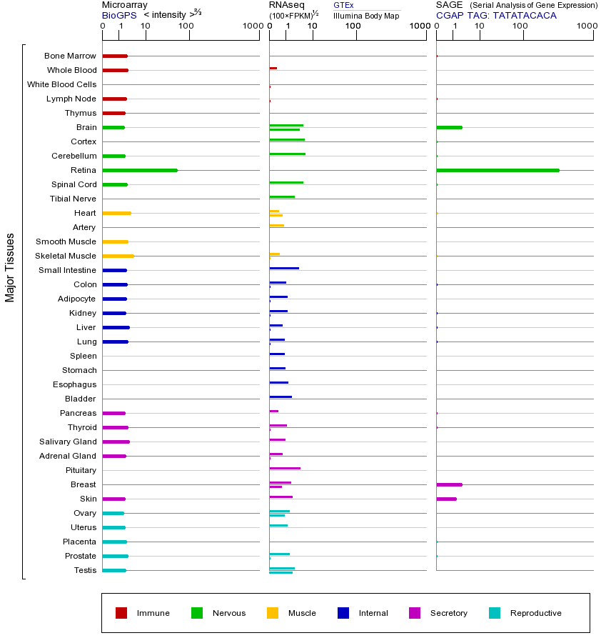 Gene expression across tissues
