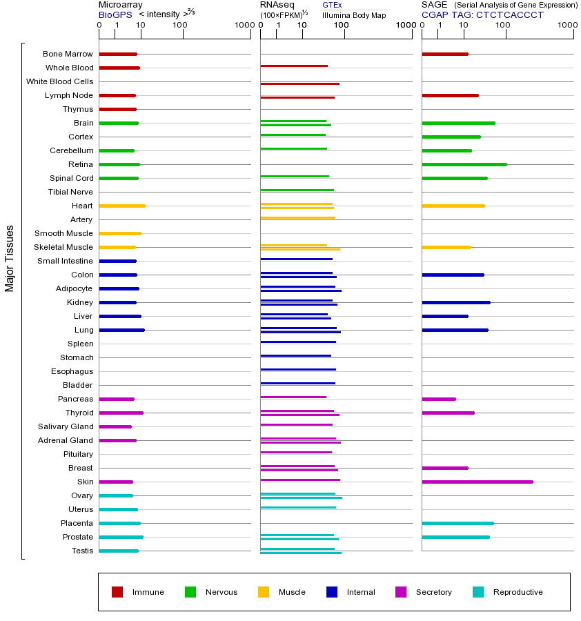 Gene expression across tissues