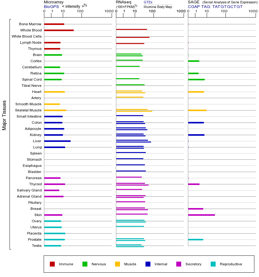 Gene expression across tissues