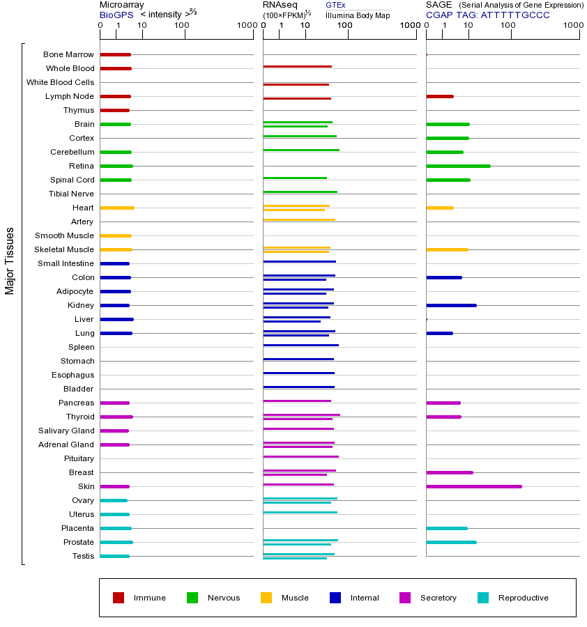 Gene expression across tissues