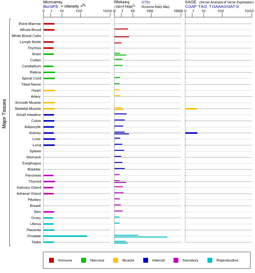 Gene expression across tissues