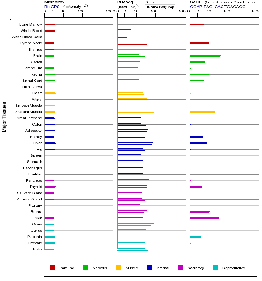 Gene expression across tissues