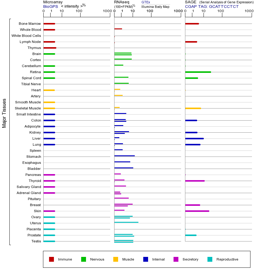 Gene expression across tissues