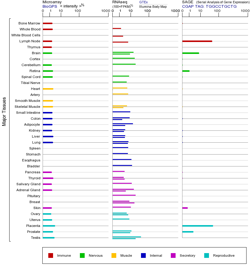 Gene expression across tissues