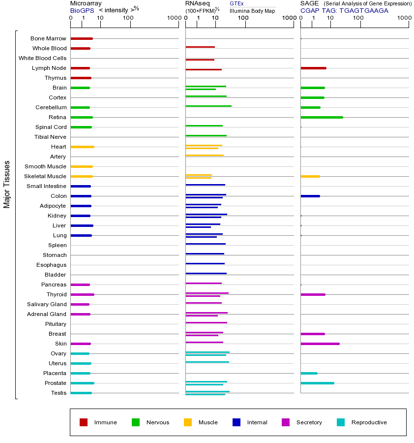 Gene expression across tissues