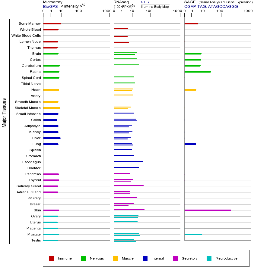 Gene expression across tissues