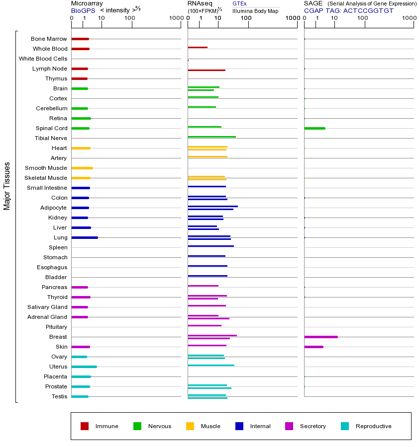 Gene expression across tissues