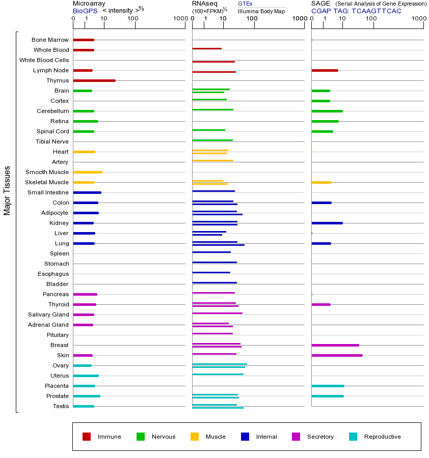 Gene expression across tissues