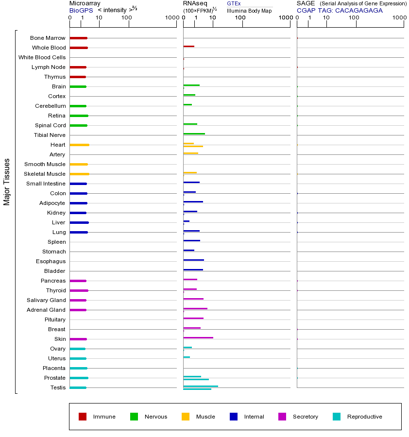 Gene expression across tissues