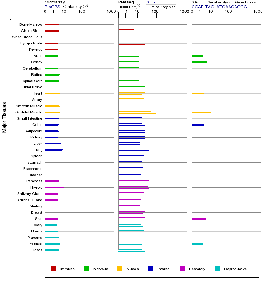 Gene expression across tissues