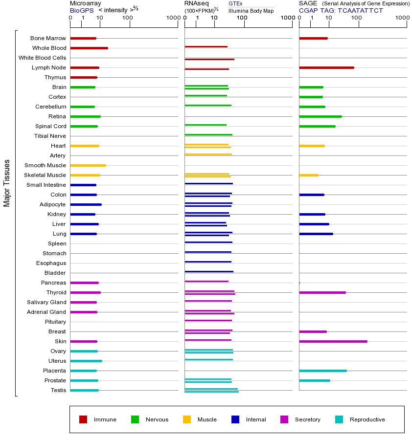 Gene expression across tissues