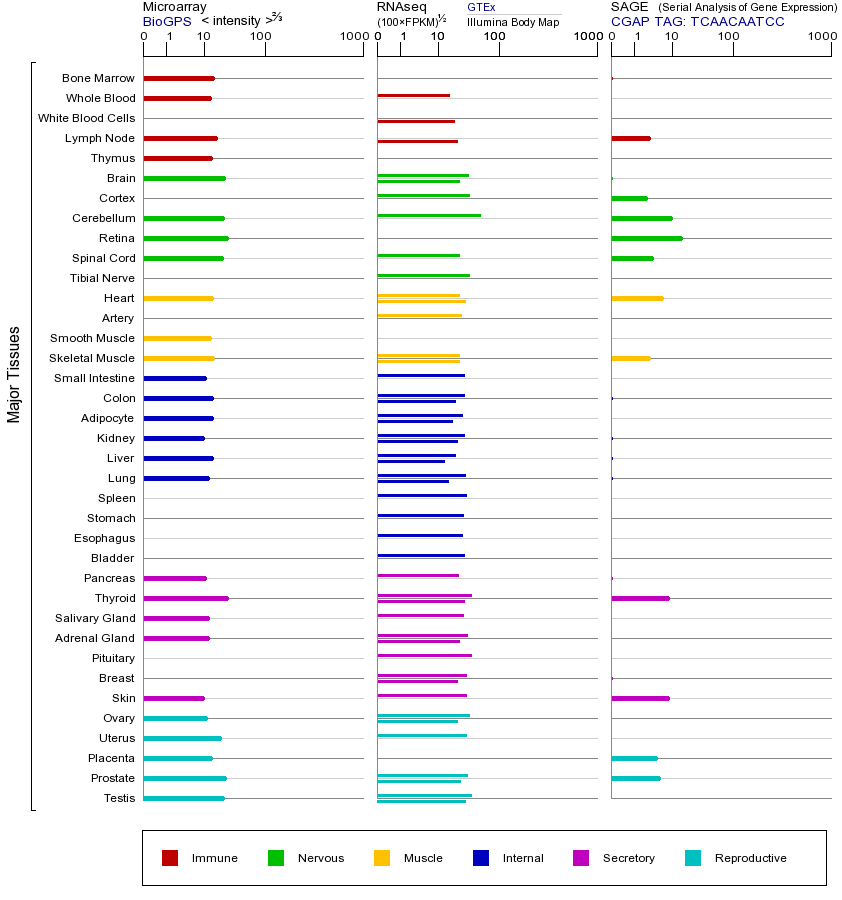 Gene expression across tissues