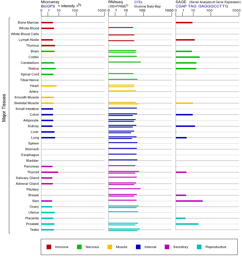 Gene expression across tissues
