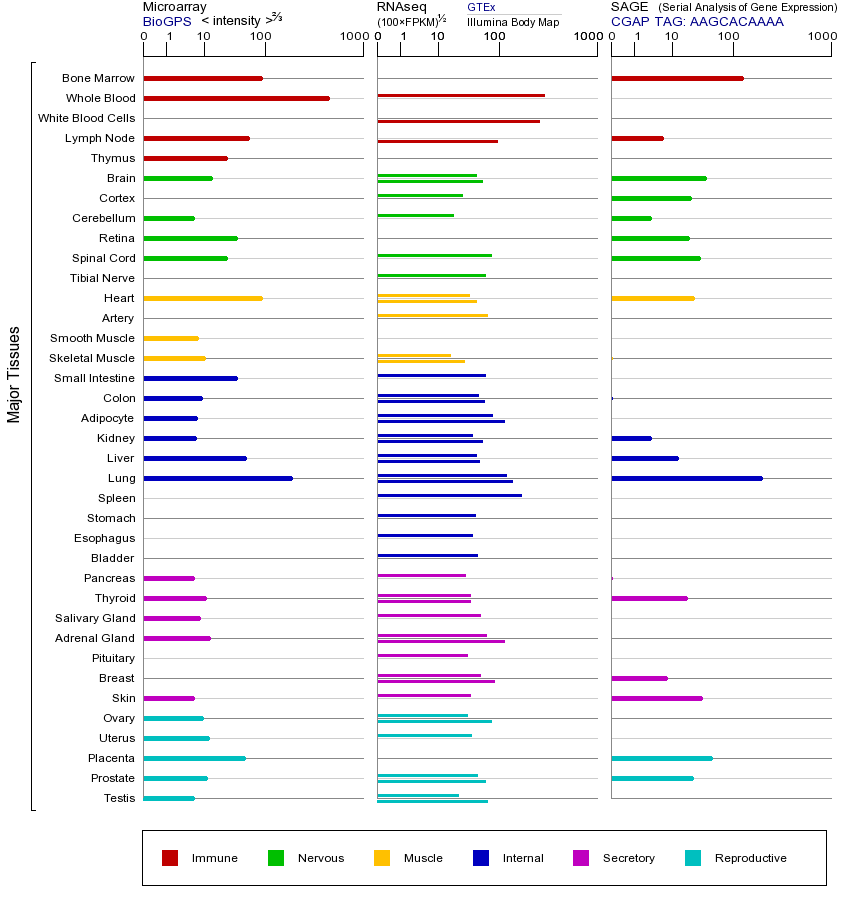 Gene expression across tissues