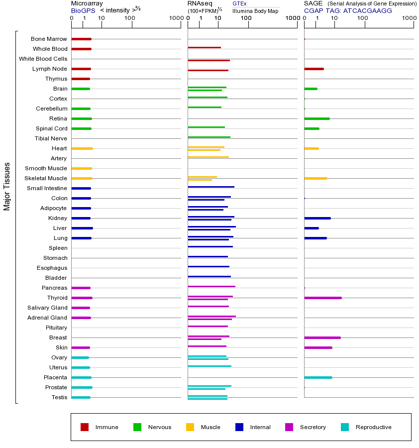 Gene expression across tissues